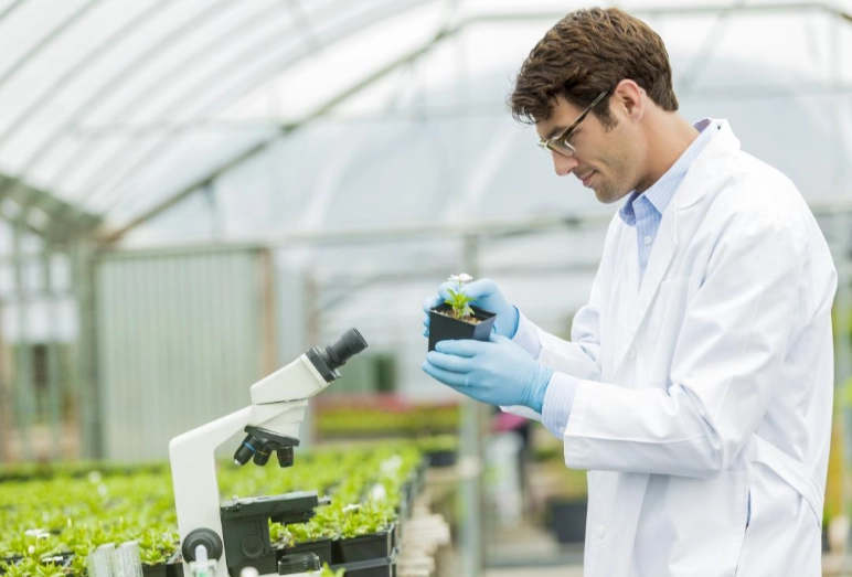 plant breeding methods plant breeding methods