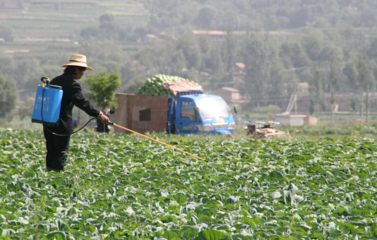 IPM strategies IPM strategies