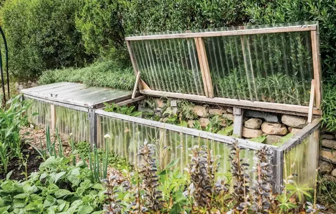 microclimate gardening microclimate gardening