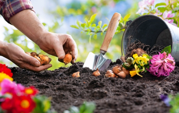 spring planting guide