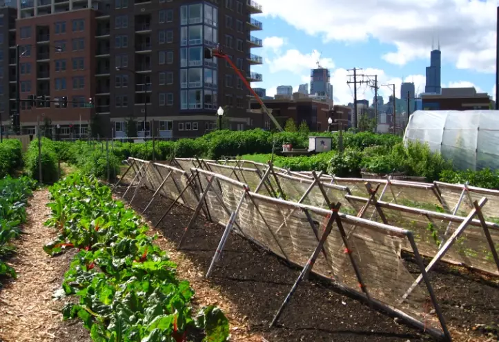 urban gardening urban gardening