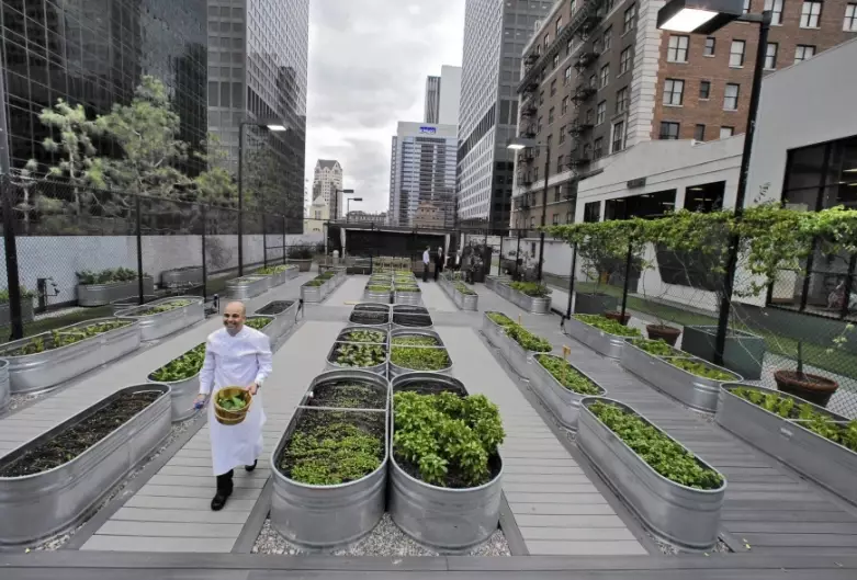 city agriculture city agriculture