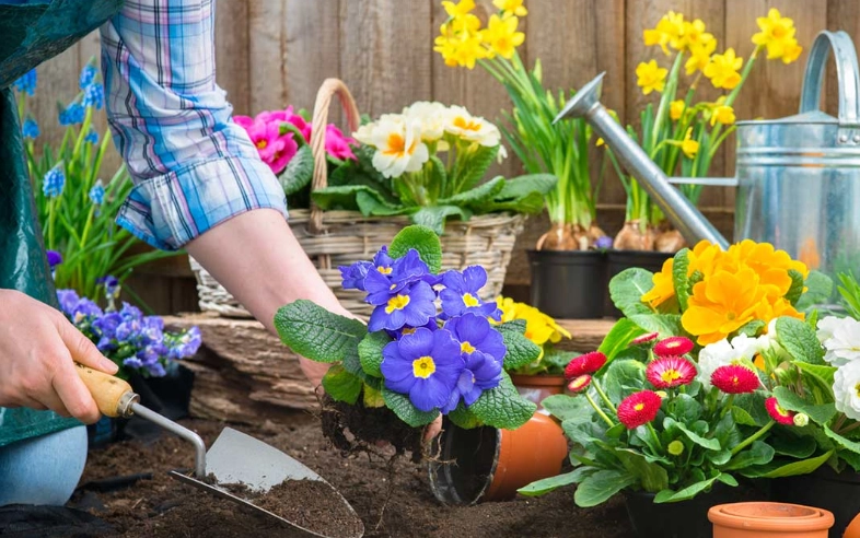 best time to plant vegetables best time to plant vegetables