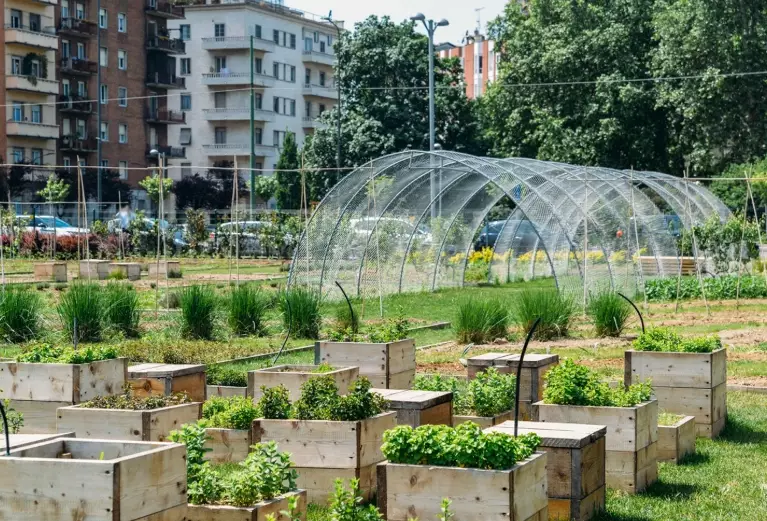 city agriculture city agriculture