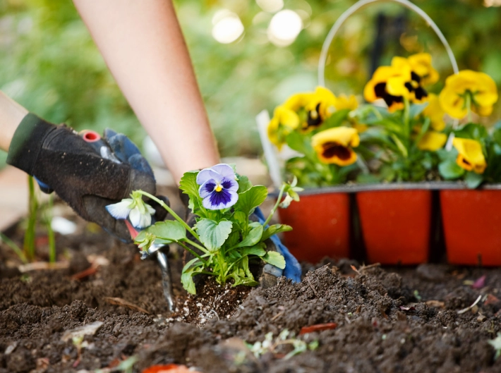 spring planting guide