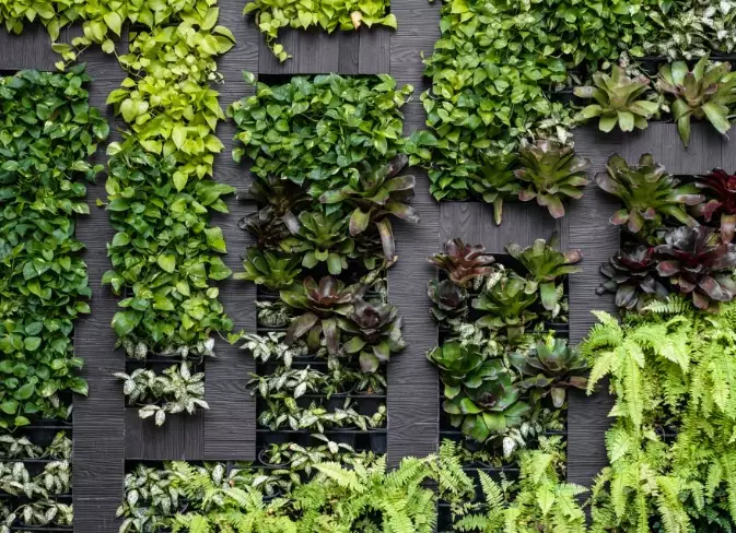 DIY vertical garden DIY vertical garden