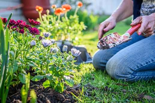 year round gardening guide year round gardening guide