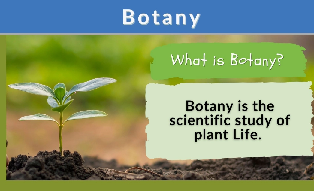 plant science basics