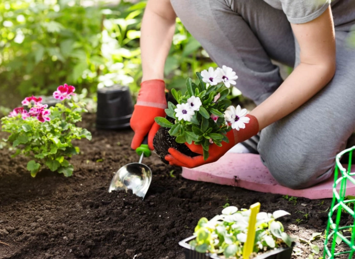 spring garden planting schedule