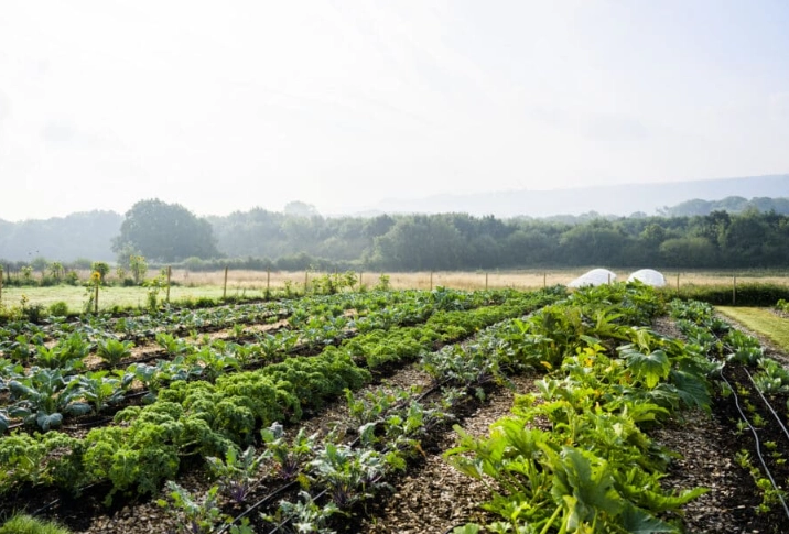 soil health regeneration soil health regeneration