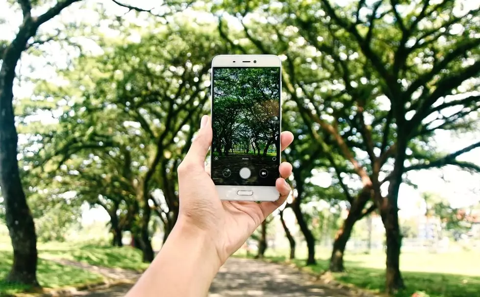 plant identification app plant identification app