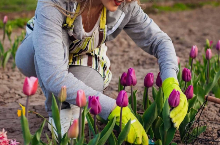 spring garden planting schedule