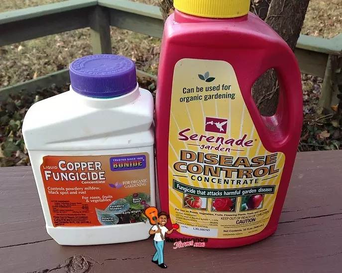organic fungicide