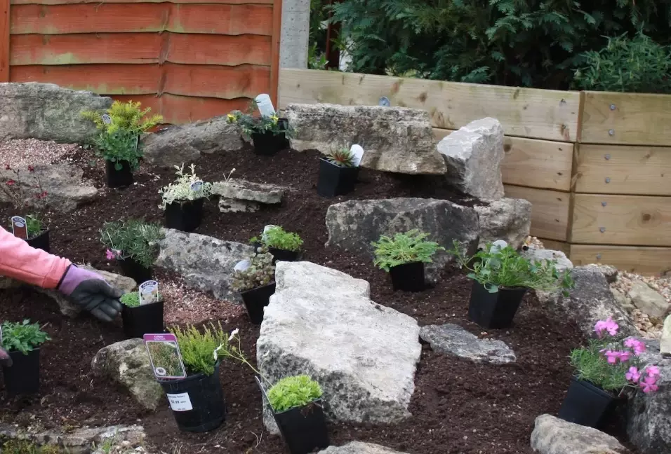 planting a rockery garden