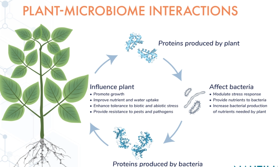 plant microbiome benefits