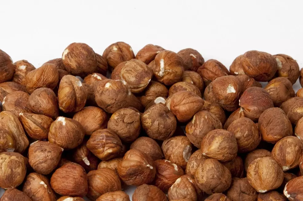 hazelnut uses hazelnut uses