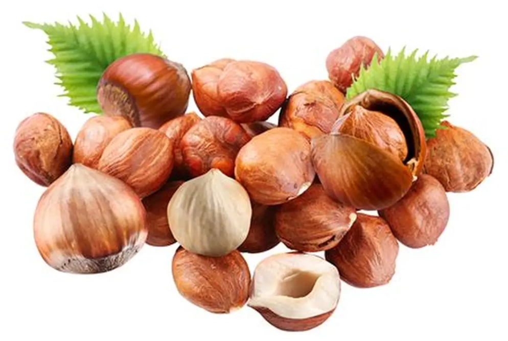 how to store hazelnuts how to store hazelnuts