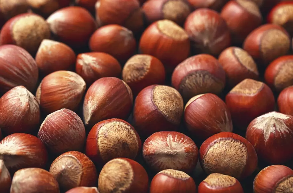 how to store hazelnuts how to store hazelnuts