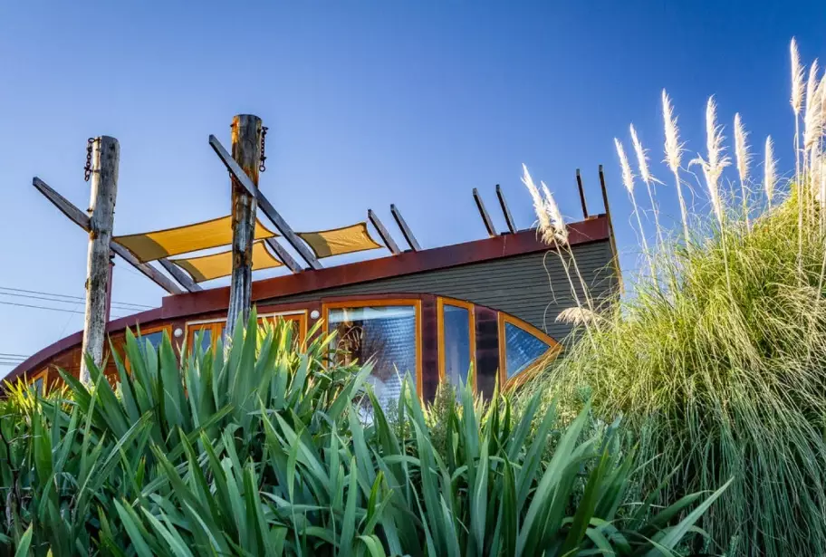 New Zealand flax
